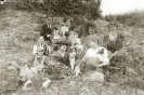 Celentino
