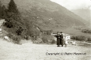 Celentino