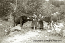 Celentino 1924 - 1925